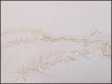 Coral Gables Restoration Expert, Coral Gables, FL 786-364-3658 Coral Gables Restoration Expert, Coral Gables, FL 786-364-3658