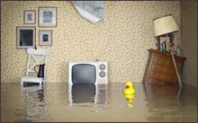 Coral Gables Restoration Expert, Coral Gables, FL 786-364-3658 Coral Gables Restoration Expert, Coral Gables, FL 786-364-3658