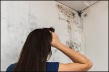 Coral Gables Restoration Expert, Coral Gables, FL 786-364-3658 Coral Gables Restoration Expert, Coral Gables, FL 786-364-3658
