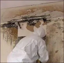 Coral Gables Restoration Expert Coral Gables, FL 786-364-3658 Coral Gables Restoration Expert Coral Gables, FL 786-364-3658